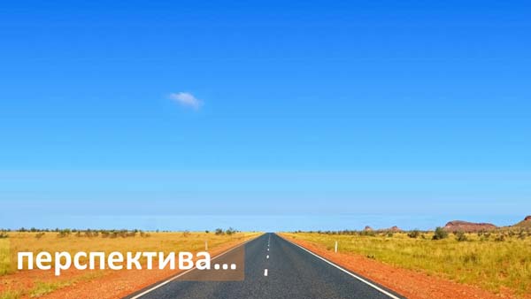 Структура вторичного рынка запчастей 2021 AGORA MIMS Automechanika.  Аналитика на chel.win-sto.ru